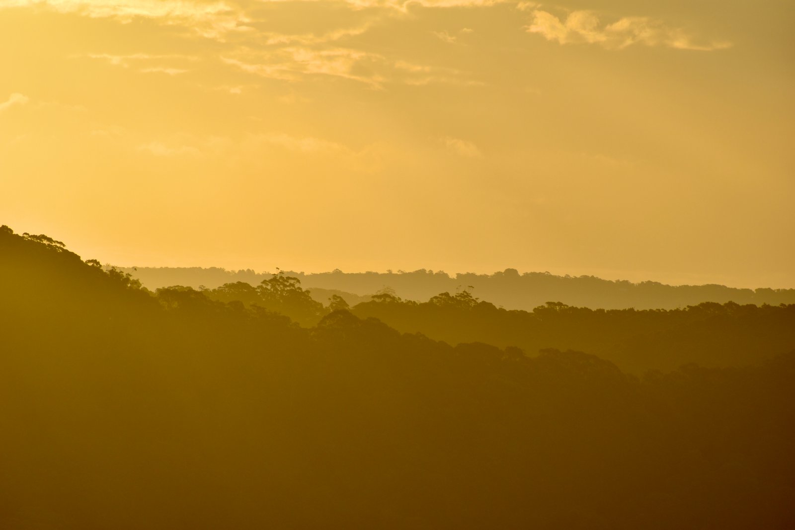Golden hour at Crackneck Lookout with panoramic ocean views along the Central Coast